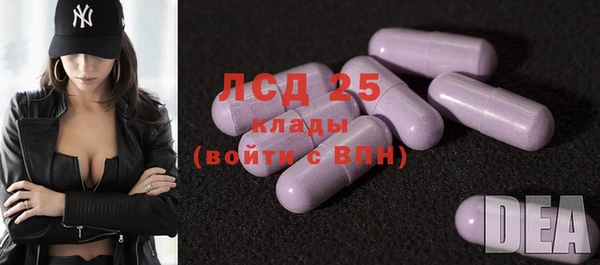 spice Гусиноозёрск
