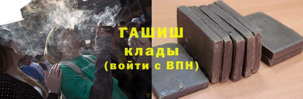 apvp Гусев