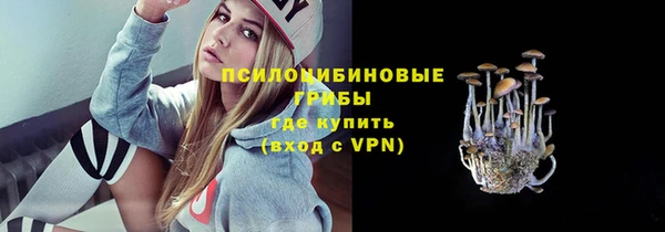 амфетамин Гусь-Хрустальный