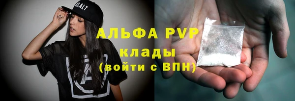 apvp Гусев
