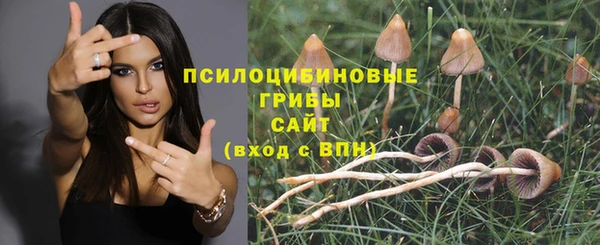 spice Гусиноозёрск
