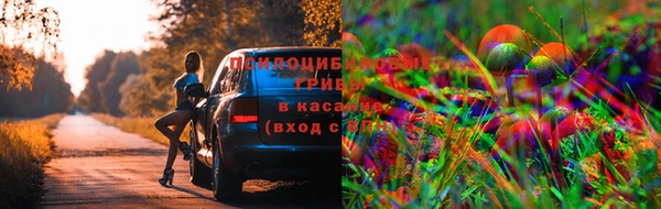амфетамин Гусь-Хрустальный