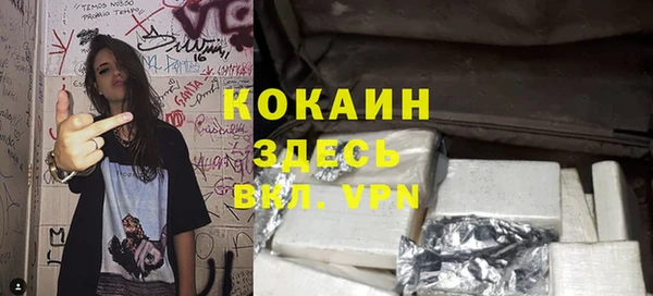 spice Гусиноозёрск
