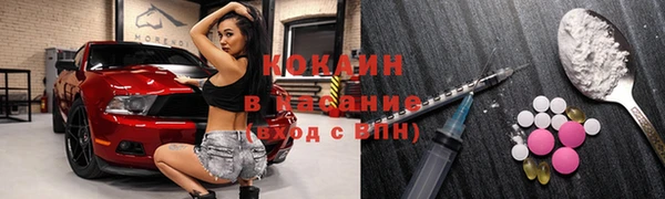 apvp Гусев