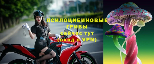 амфетамин Гусь-Хрустальный