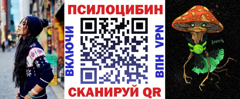 Купить где  Кирс  Галлюциногенные грибы Psilocybe 
